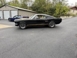 										1965 Ford Mustang Mustang Fastback Hertz Gt350 full									