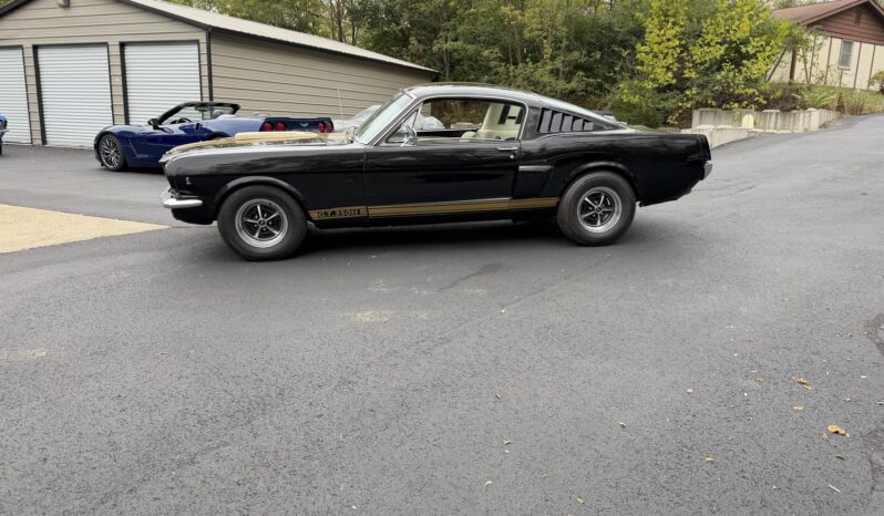 								1965 Ford Mustang Mustang Fastback Hertz Gt350 full									