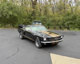 										1965 Ford Mustang Mustang Fastback Hertz Gt350 full									