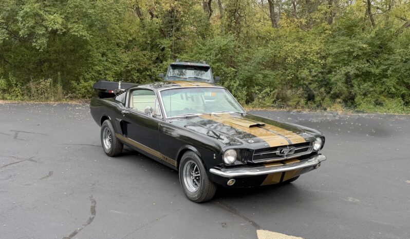 								1965 Ford Mustang Mustang Fastback Hertz Gt350 full									