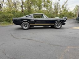 										1965 Ford Mustang Mustang Fastback Hertz Gt350 full									