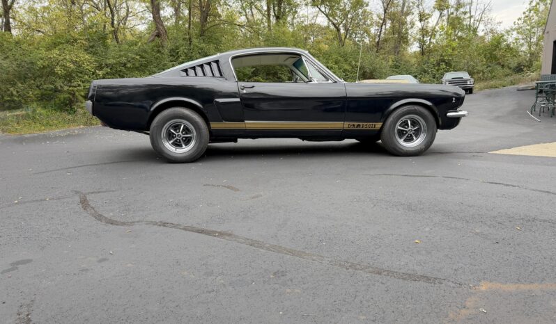 								1965 Ford Mustang Mustang Fastback Hertz Gt350 full									