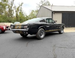 										1965 Ford Mustang Mustang Fastback Hertz Gt350 full									