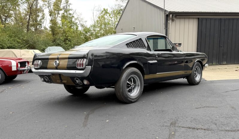 								1965 Ford Mustang Mustang Fastback Hertz Gt350 full									