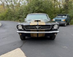 1965 Ford Mustang Mustang Fastback Hertz Gt350