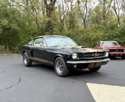 1965 Ford Mustang Mustang Fastback Hertz Gt350