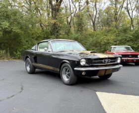 1965 Ford Mustang Mustang Fastback Hertz Gt350