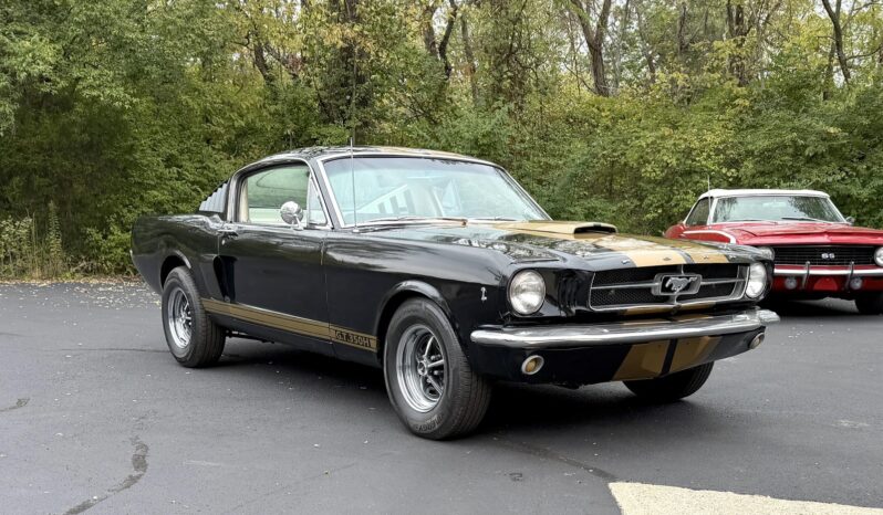 								1965 Ford Mustang Mustang Fastback Hertz Gt350 full									