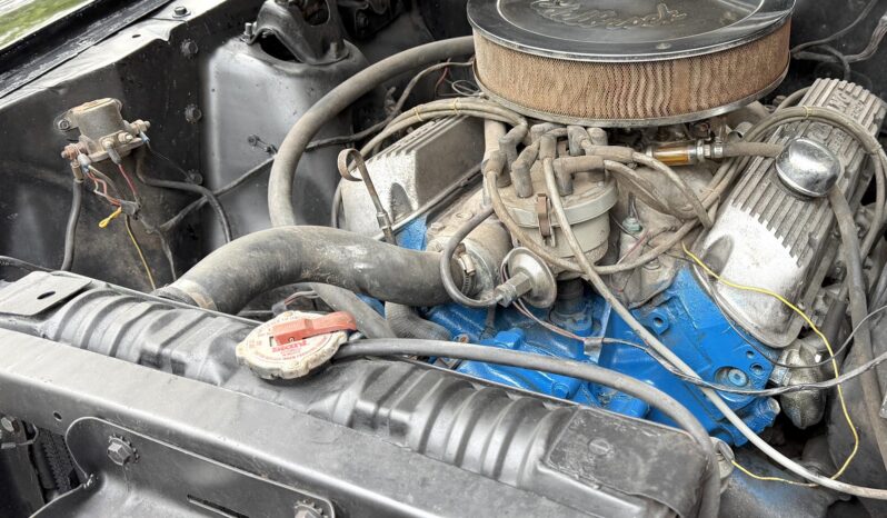 								1965 Ford Mustang Mustang Fastback Hertz Gt350 full									