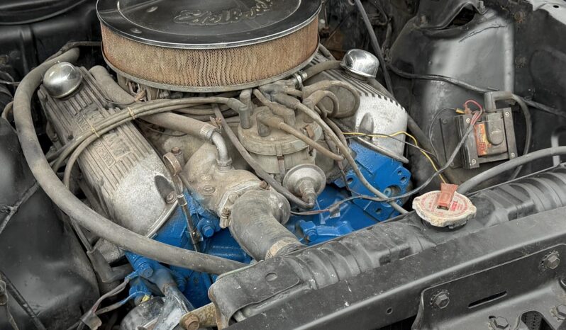 								1965 Ford Mustang Mustang Fastback Hertz Gt350 full									