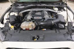 
										2015 Ford Mustang GT 50th Anniversary full									