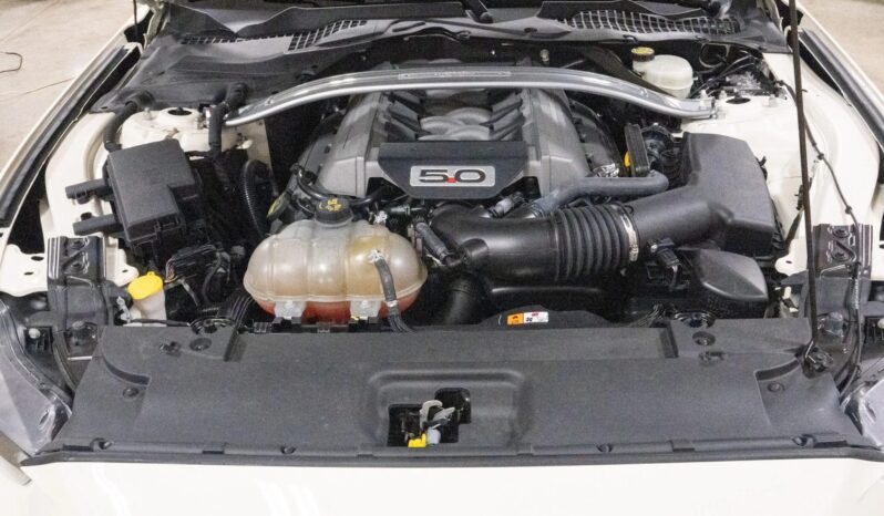 
								2015 Ford Mustang GT 50th Anniversary full									