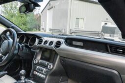 
										2015 Ford Mustang GT 50th Anniversary full									