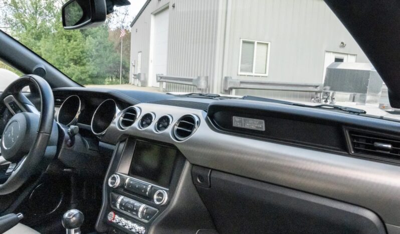 
								2015 Ford Mustang GT 50th Anniversary full									