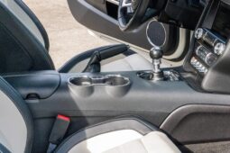 
										2015 Ford Mustang GT 50th Anniversary full									