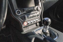 
										2015 Ford Mustang GT 50th Anniversary full									