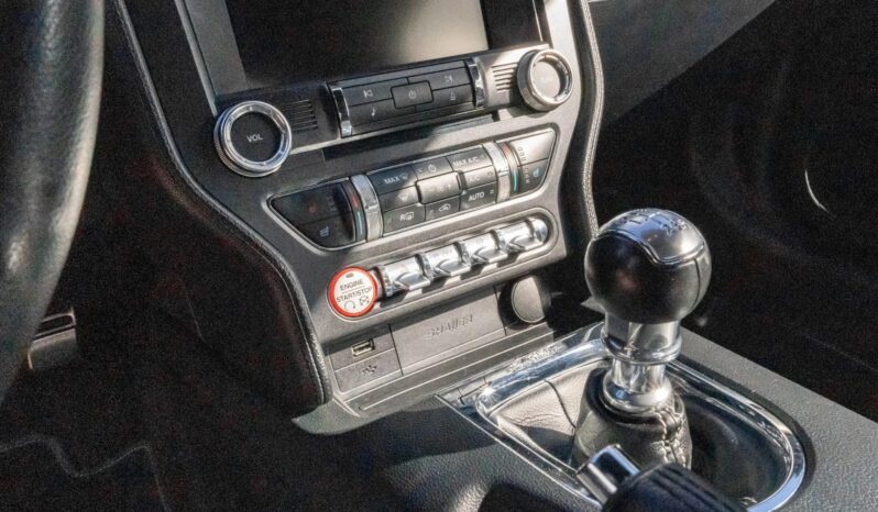 
								2015 Ford Mustang GT 50th Anniversary full									