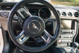 
										2015 Ford Mustang GT 50th Anniversary full									