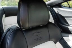 
										2015 Ford Mustang GT 50th Anniversary full									