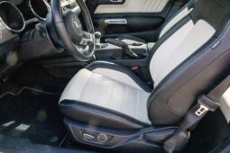 
										2015 Ford Mustang GT 50th Anniversary full									