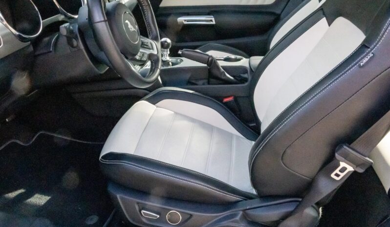 
								2015 Ford Mustang GT 50th Anniversary full									