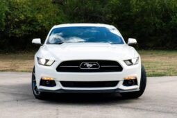 
										2015 Ford Mustang GT 50th Anniversary full									