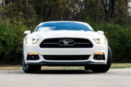 
										2015 Ford Mustang GT 50th Anniversary full									