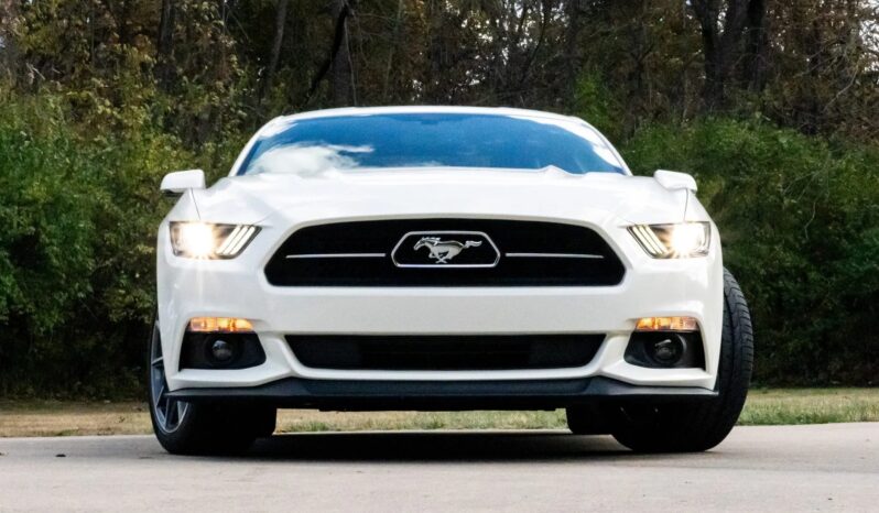 
								2015 Ford Mustang GT 50th Anniversary full									