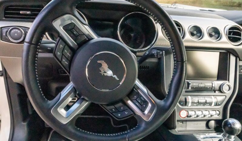 
								2015 Ford Mustang GT 50th Anniversary full									