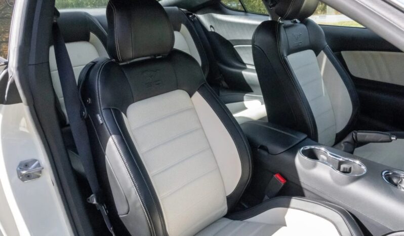 
								2015 Ford Mustang GT 50th Anniversary full									