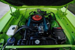 
										1969 Plymouth Road Runner Custom full									