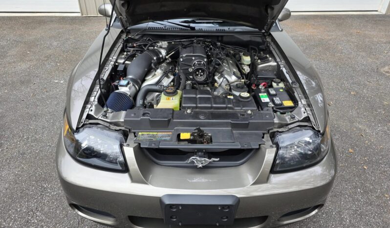 								2003 Ford Mustang SVT Cobra Coupe full									