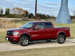 
										2014 Ford F-150 FX4 SuperCrew 4×4 full									