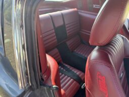 
										1966 Ford Mustang Fastback 347-Powered full									