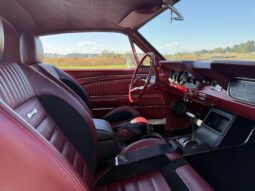 
										1966 Ford Mustang Fastback 347-Powered full									