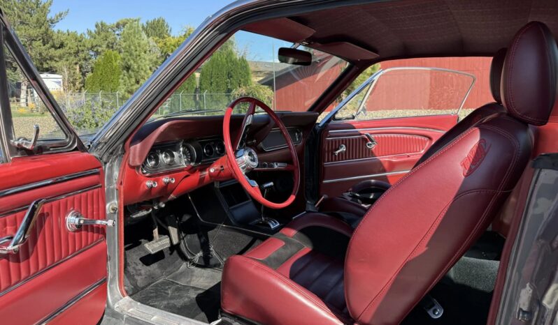 
								1966 Ford Mustang Fastback 347-Powered full									