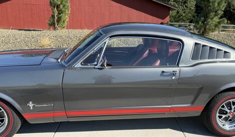 
								1966 Ford Mustang Fastback 347-Powered full									