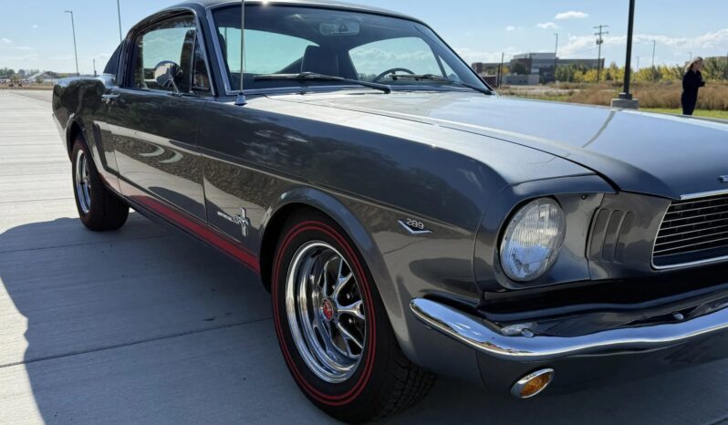 
								1966 Ford Mustang Fastback 347-Powered full									