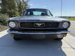 
										1966 Ford Mustang Fastback 347-Powered full									