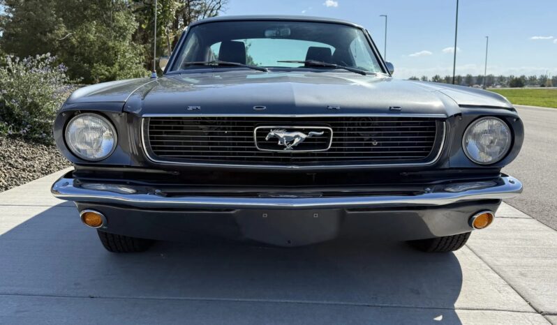
								1966 Ford Mustang Fastback 347-Powered full									
