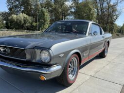 
										1966 Ford Mustang Fastback 347-Powered full									