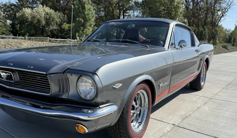 
								1966 Ford Mustang Fastback 347-Powered full									