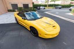 
										2002 Pontiac Firebird Trans Am WS6 full									