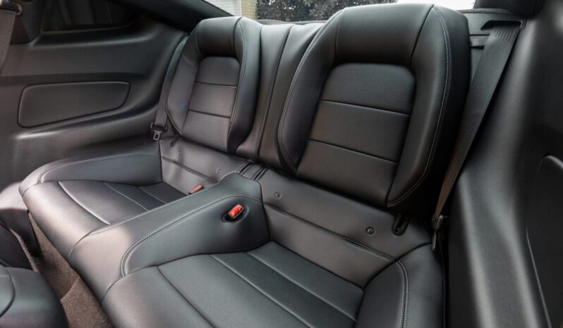 
								2015 Ford Mustang GT Roush Warrior full									