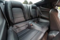 
										2015 Ford Mustang GT Roush Warrior full									