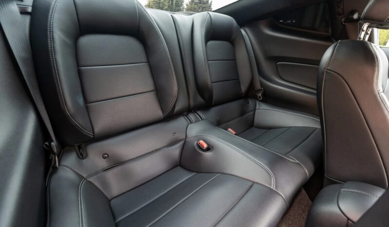 
								2015 Ford Mustang GT Roush Warrior full									