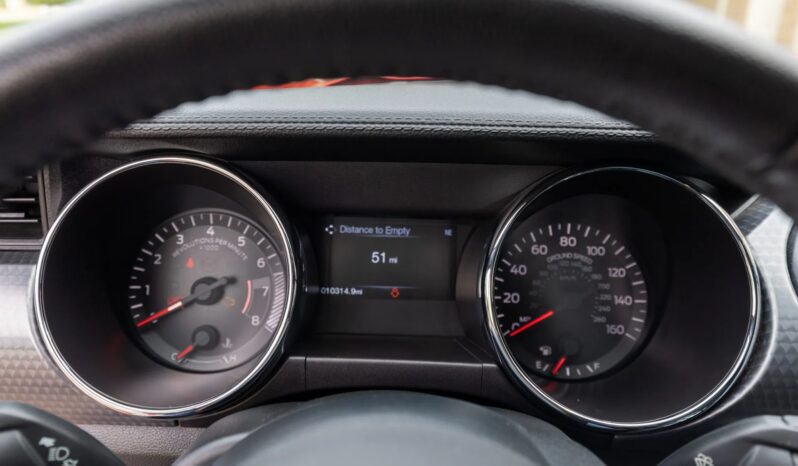 
								2015 Ford Mustang GT Roush Warrior full									