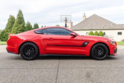 
										2015 Ford Mustang GT Roush Warrior full									