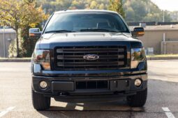 2014 Ford F-150 FX4 Tremor 2