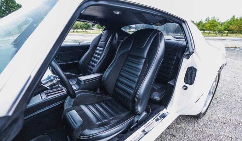 
								1973 Pontiac Firebird Trans Am LS3 Stroker full									